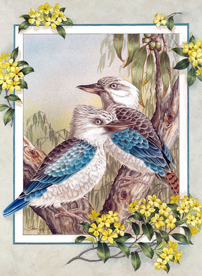 Pájaros 5 - pájaros - оригинал