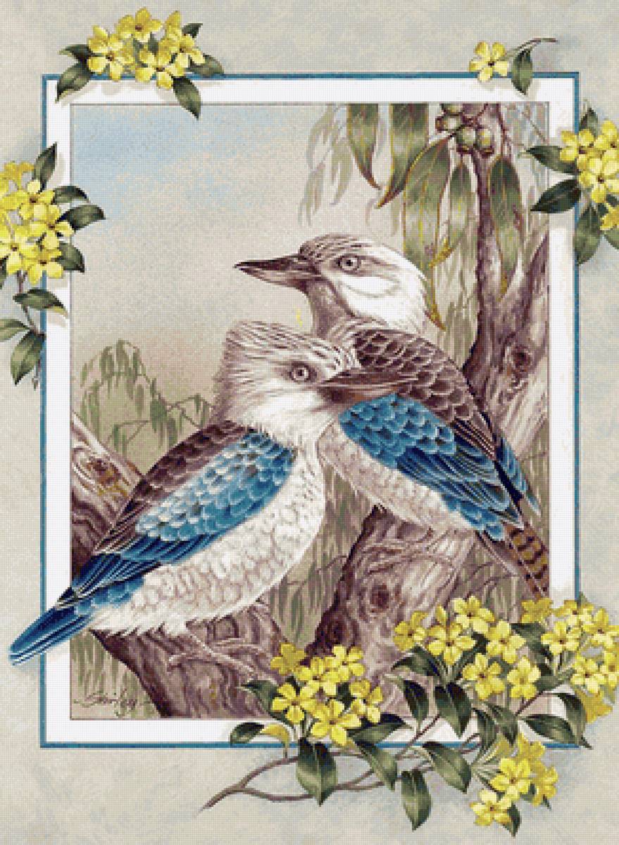 Pájaros 5 - pájaros - предпросмотр