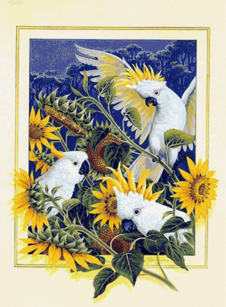 Pajaros7 - pajaros - предпросмотр