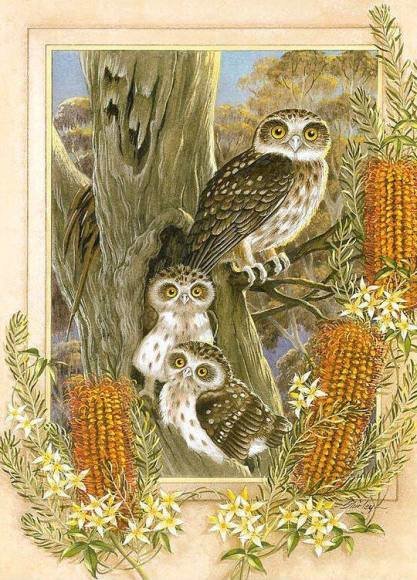 pajaros10 - pajaros - оригинал