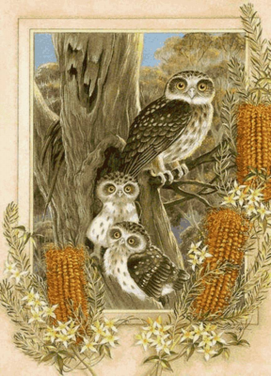 pajaros10 - pajaros - предпросмотр