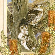 Схема вышивки «pajaros10»