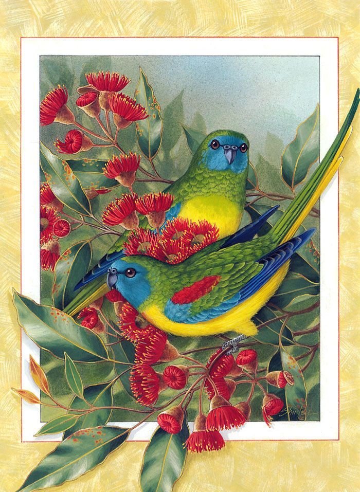 Pájaros 11 - pajaros - оригинал