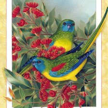 Оригинал схемы вышивки «Pájaros 11» (№2453535)