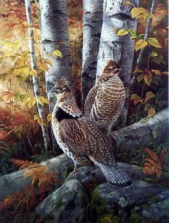 Pájaros 12 - pajaros - оригинал