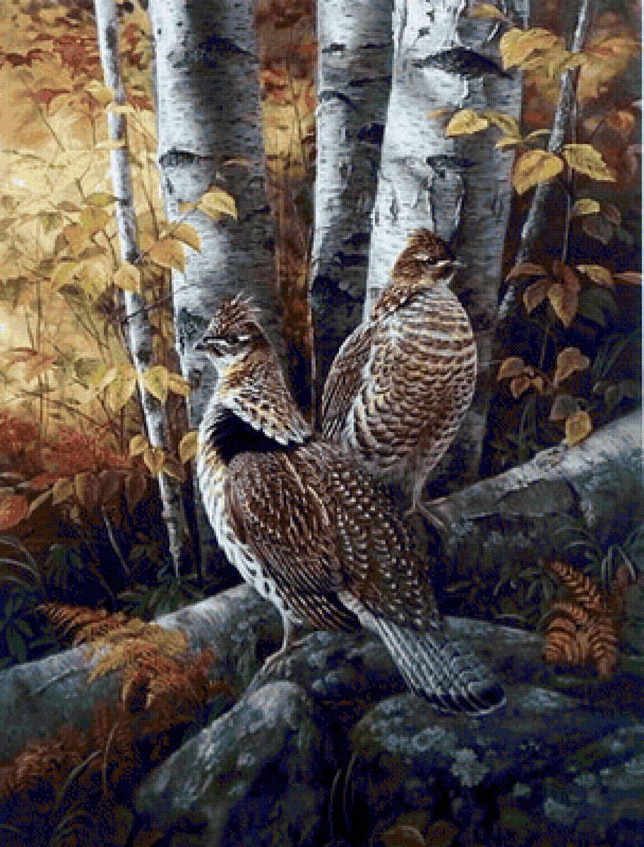 Pájaros 12 - pajaros - предпросмотр