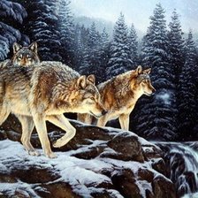 Оригинал схемы вышивки «lobos» (№2453546)