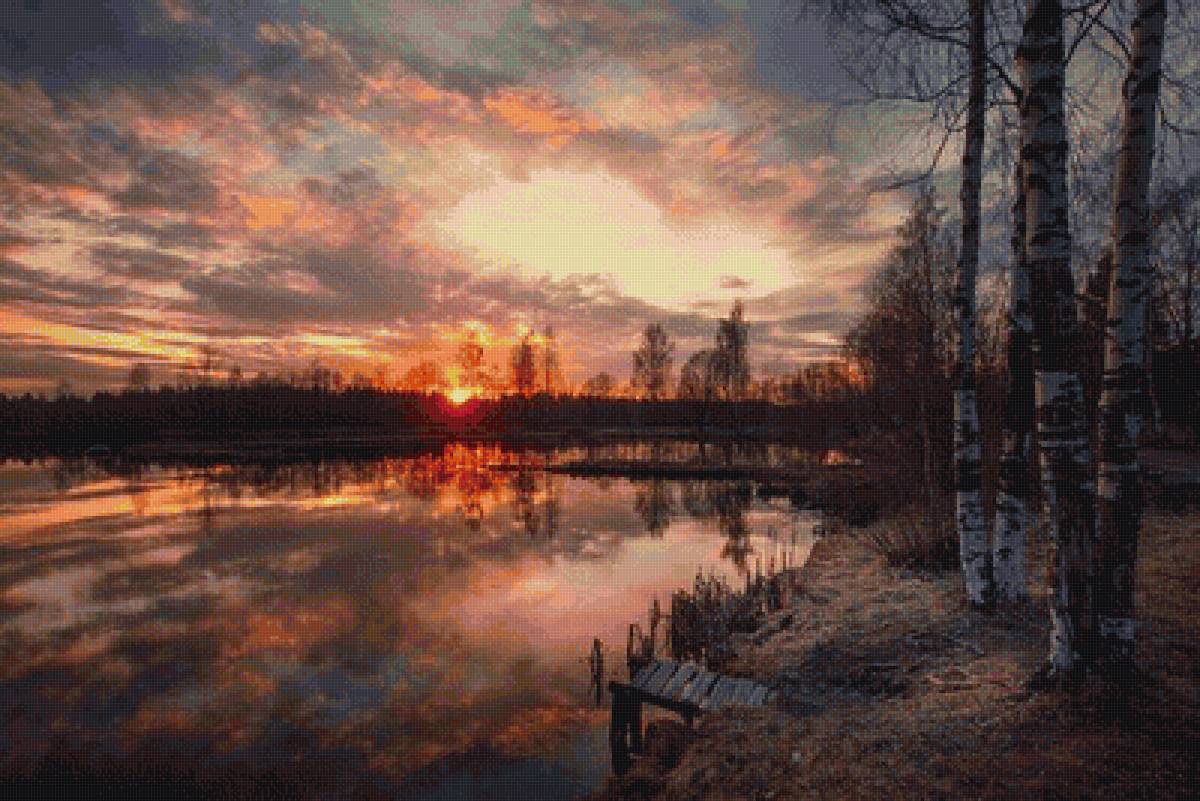 утро - пейзаж, лес, лето, дерево, вода - предпросмотр