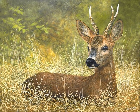 №2453820 - оригинал