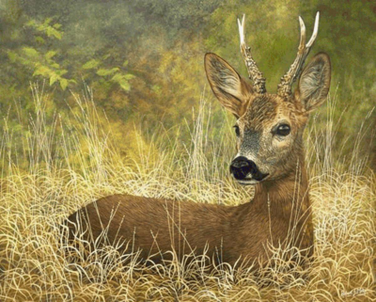 №2453820 - предпросмотр