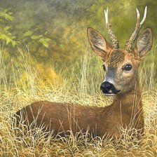 Схема вышивки «№2453820»