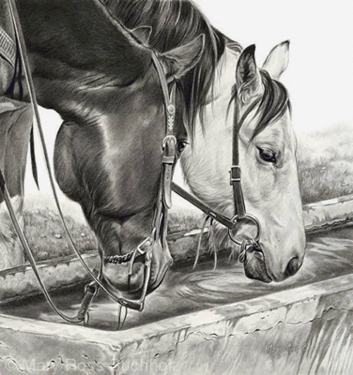 №2453830 - предпросмотр