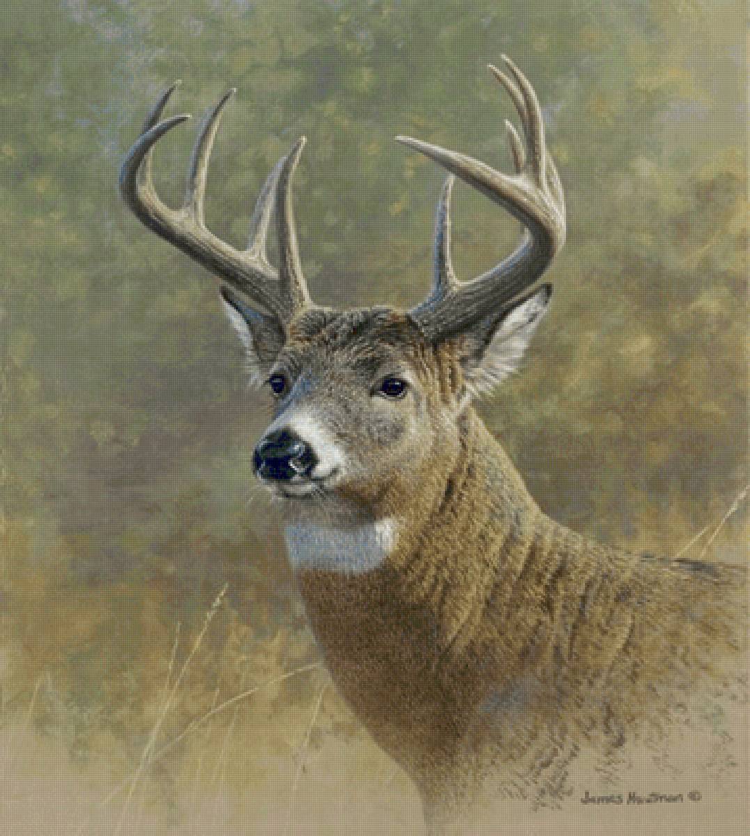 №2453832 - предпросмотр