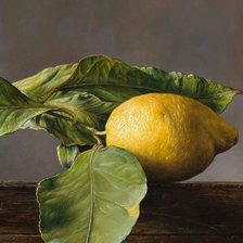 Схема вышивки «№2453846»