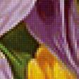 Предпросмотр схемы вышивки «Серия "Цветы"» (№2454020)