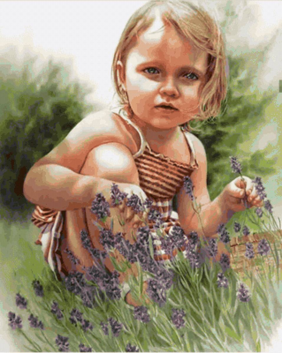 ДЕВОЧКА - ребенок, лаванда, корзинка, цветы, поле, девочка - предпросмотр