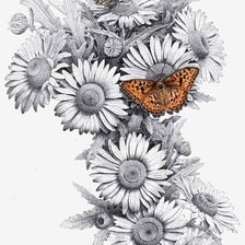 Схема вышивки «бабочки»