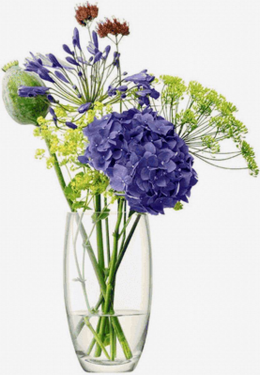 №2454716 - предпросмотр