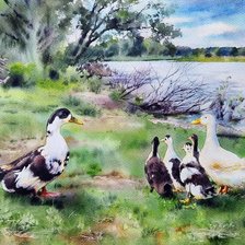 Схема вышивки «№2455108»