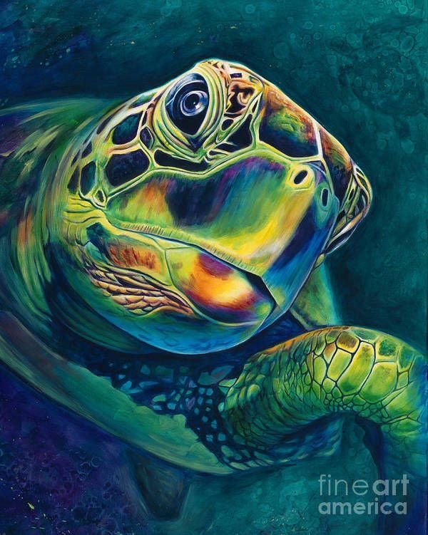 Черепаха - море, черепаха - оригинал