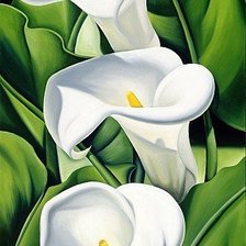 Схема вышивки «Белые цветы»