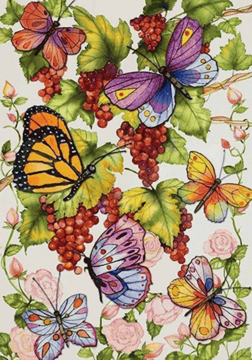 бабочки - рисунок - предпросмотр