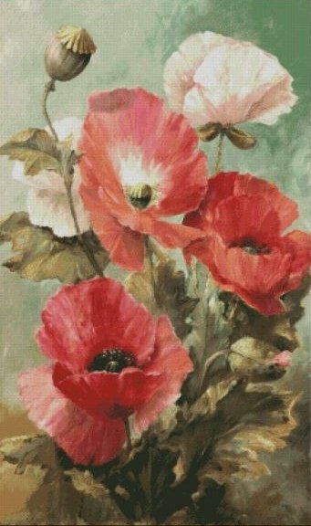 маки, пнк - оригинал