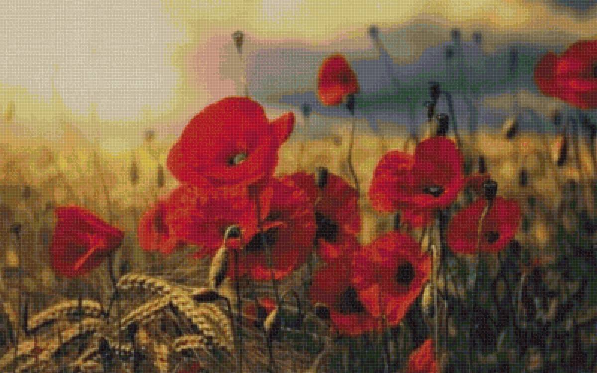 маки, пнк - предпросмотр