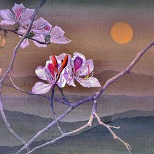 Схема вышивки «№2455394»