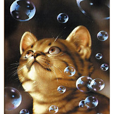 Схема вышивки «кот»