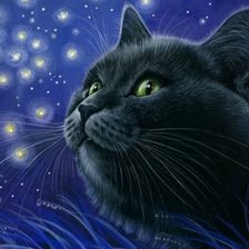 Схема вышивки «Кот»