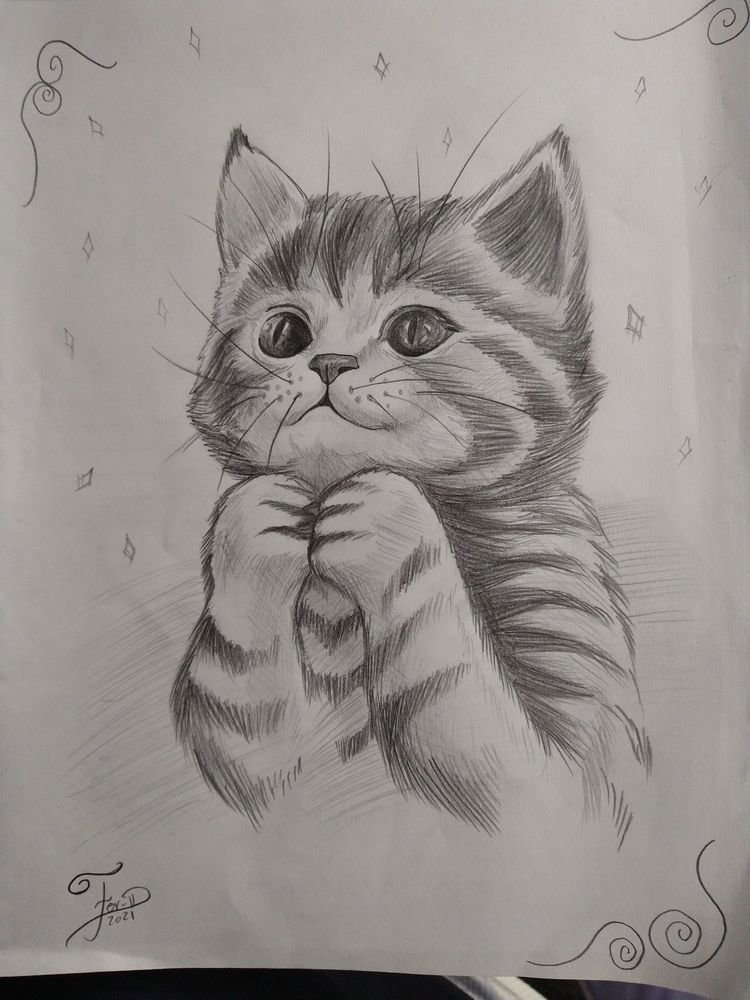 Радужные мысли - котенок, сказка, животные - оригинал