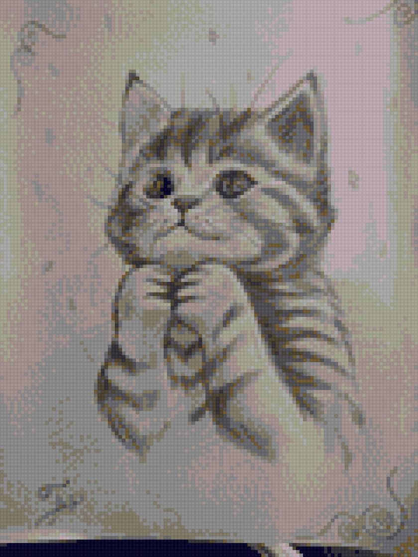 Радужные мысли - сказка, котенок, животные - предпросмотр