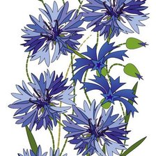Схема вышивки «васильки»