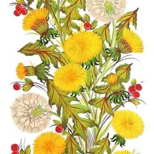 одуванчики