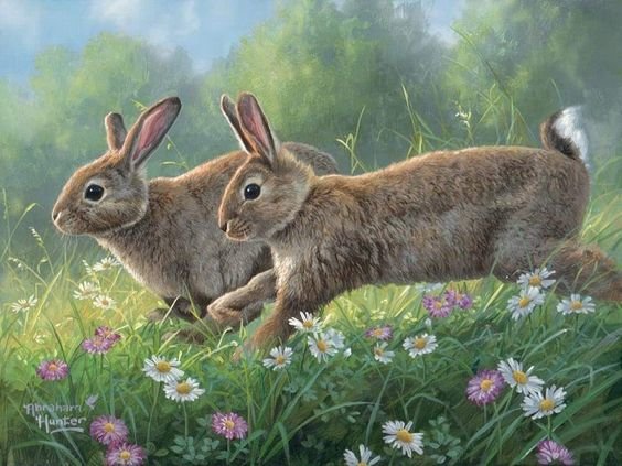 №2457047 - оригинал