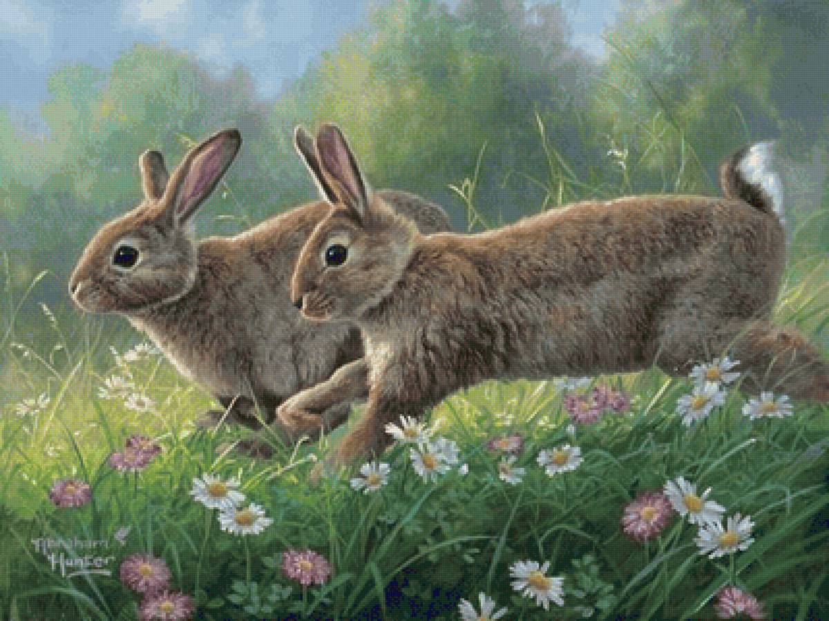 №2457047 - предпросмотр