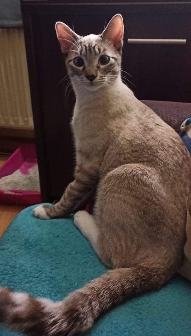 №2457172 - оригинал