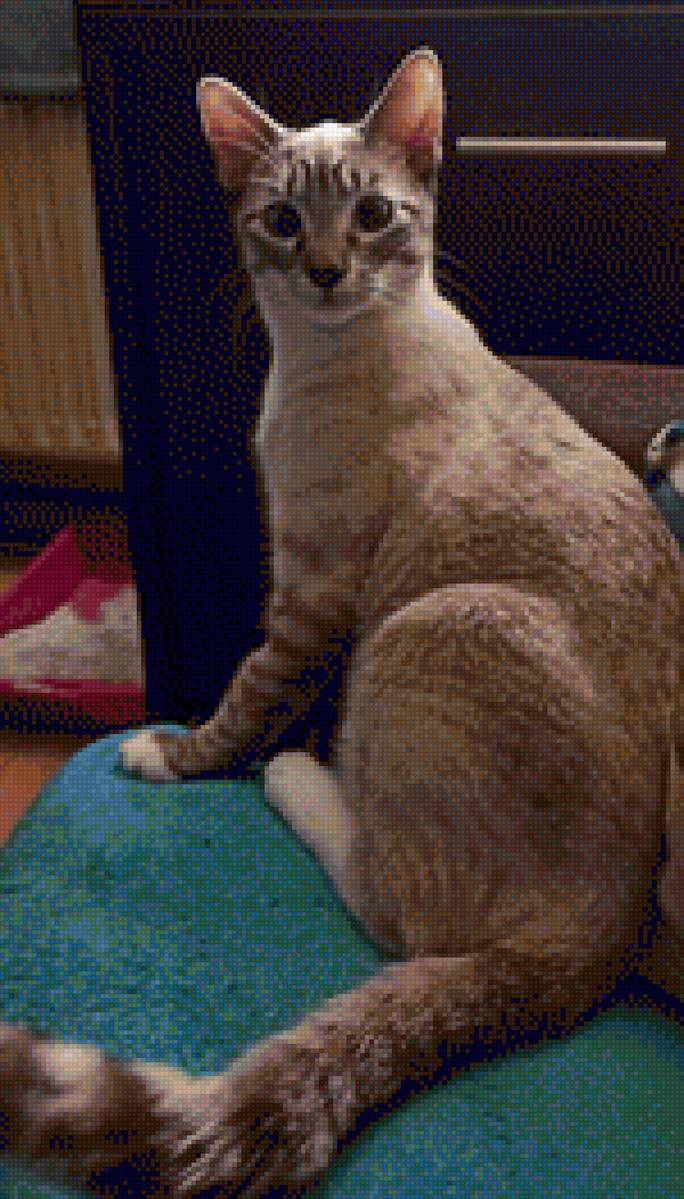 №2457172 - предпросмотр