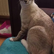 Схема вышивки «№2457172»