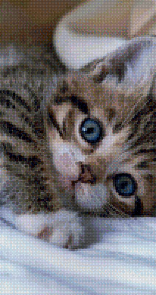 Котик - животные, котики - предпросмотр