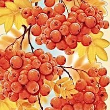 Схема вышивки «Рябина»