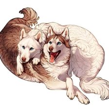 Схема вышивки «Husky»