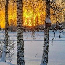 Оригинал схемы вышивки «№2458294»