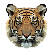 Схема вышивки «тигрр»