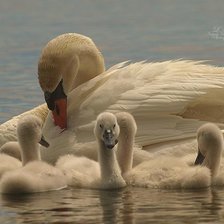 Оригинал схемы вышивки «№2458759»