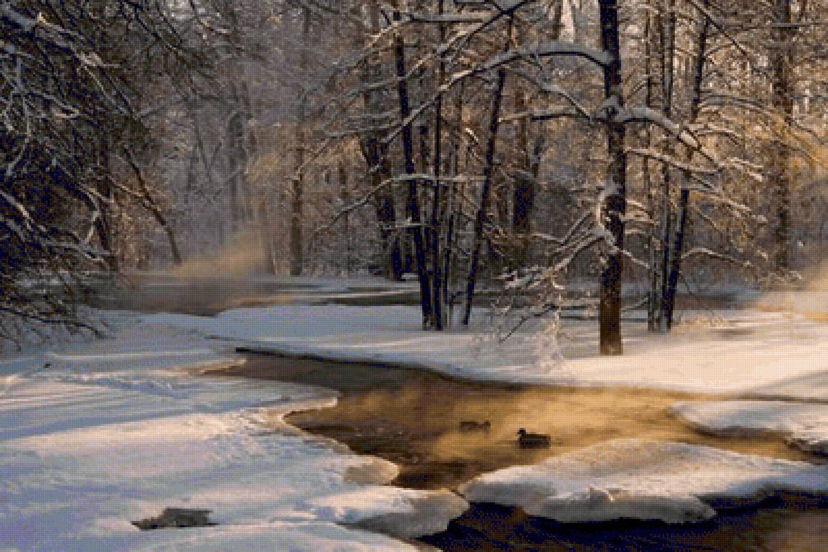 №2459100 - предпросмотр