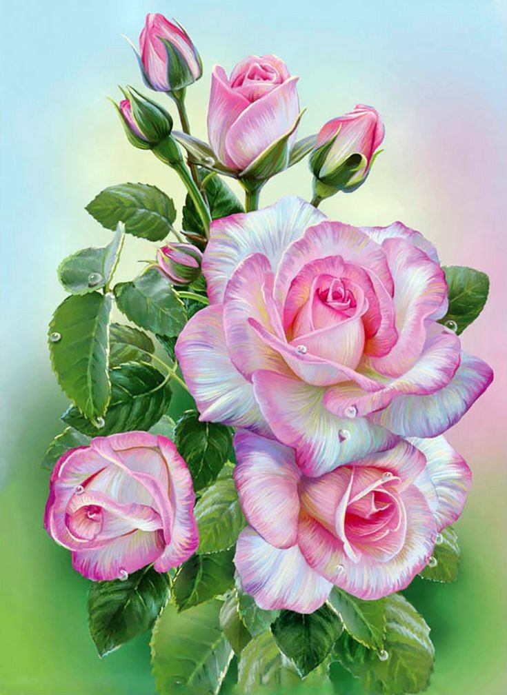 Любимые розы - розы розовые - оригинал