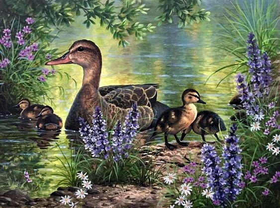 Уточка и утята - птицы - оригинал