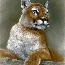 Схема вышивки «Пума 2»